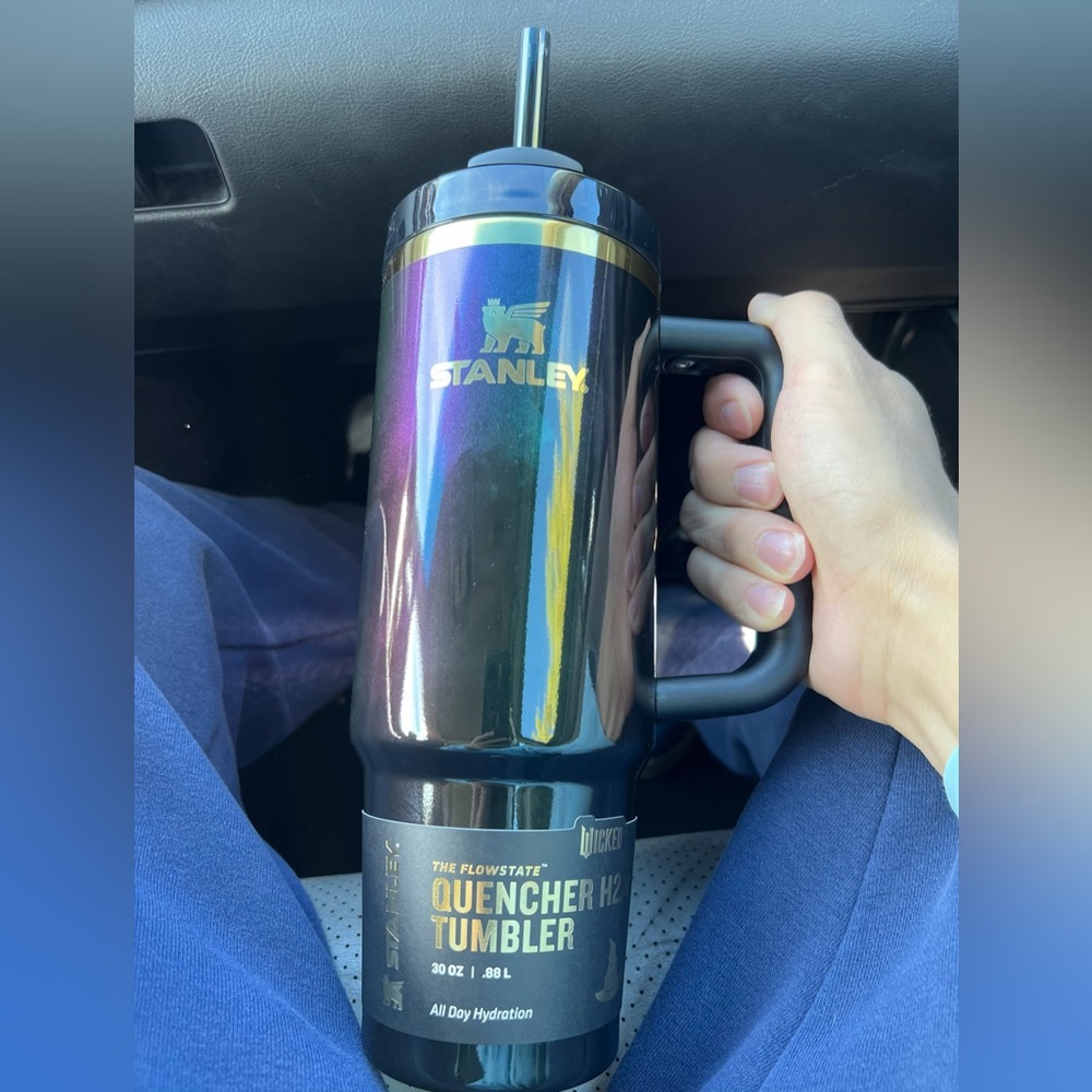 Stanley x Wicked 30oz FlowState Quencher Tumbler Elphaba For Good IN HAND